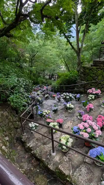 長谷寺(奈良県)