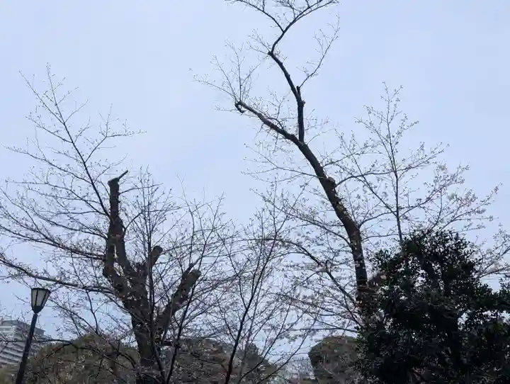 千鳥ヶ淵戦没者墓苑(東京都)