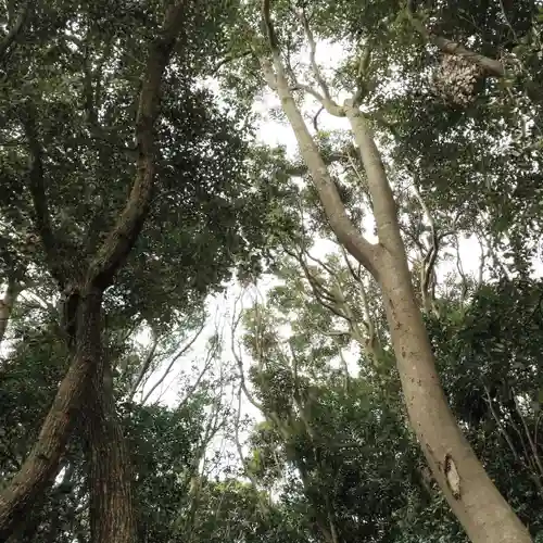 天満神社の自然