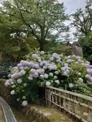 長谷寺(奈良県)