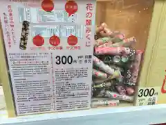 花園神社のおみくじ