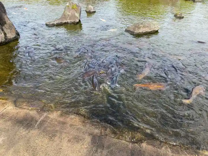 東本願寺本廟 牛久浄苑(牛久大仏)の動物