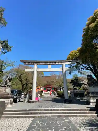 富士山本宮浅間大社の鳥居