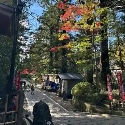 大崎八幡宮(宮城県)