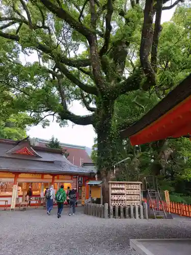熊野那智大社(和歌山県)