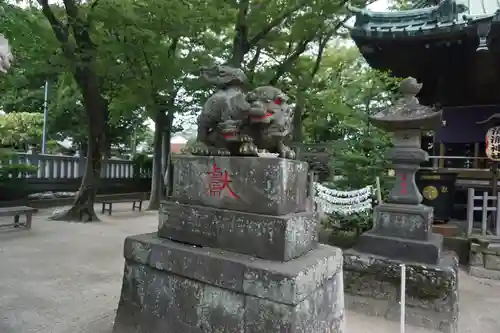 清瀧神社の狛犬