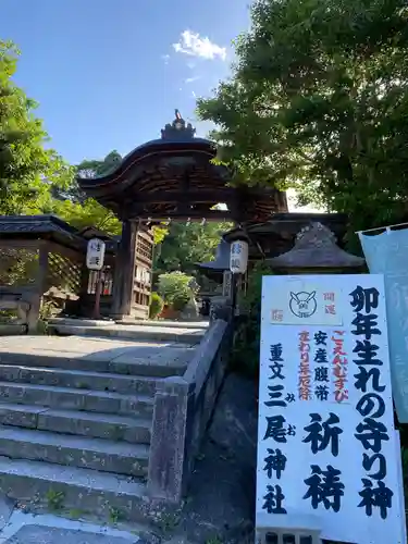 三尾神社(滋賀県)