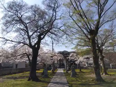 稲荷神社(福井県)
