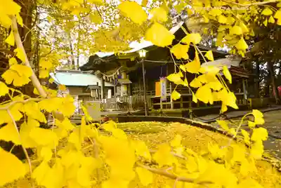 鶴嶺八幡宮(神奈川県)