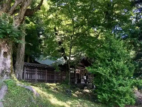 諏訪大社上社前宮の本殿・本堂