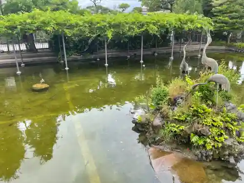 川崎大師（平間寺）(神奈川県)