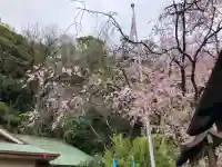 根岸八幡神社の{uncategorized: "未分類", other: "その他", undefined: "問題あり", building: "その他建物", grave: "お墓", sacred_gate: "鳥居", guardian: "狛犬", statue: "像", buddha: "仏像", history: "歴史", nature: "自然", garden: "庭園", animal: "動物", pagoda: "塔", temizu: "手水舎", mountain_gate: "山門・神門", sanctuary: "本殿・本堂", subordinate: "末社・摂社", art: "芸術", scenery: "景色", jizo: "地蔵", ema: "絵馬", goshuin: "御朱印", omikuji: "おみくじ", items: "授与品その他", amulet: "お守り", goshuincho: "御朱印帳", eats: "食事", festival: "お祭り", votive_dance: "神楽", shichigosan: "七五三参", wedding: "結婚式", experience: "体験その他", initially: "初詣", around: "周辺", anti_infection: "感染症対策"}