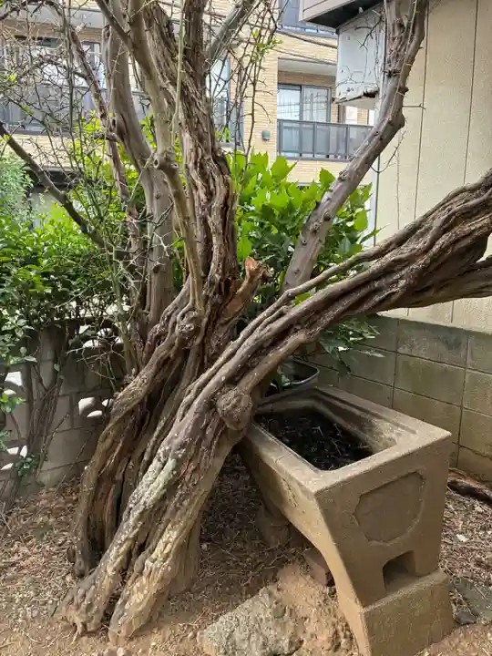 道祖神(千葉県)