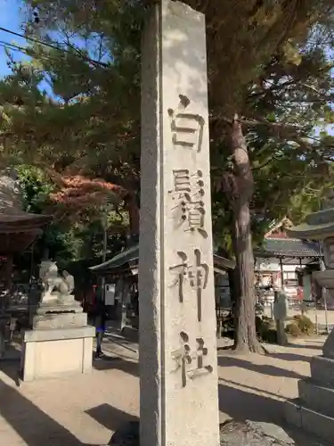 白鬚神社の狛犬
