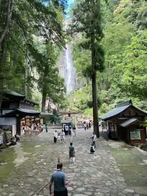 飛瀧神社（熊野那智大社別宮）の{uncategorized: "未分類", other: "その他", undefined: "問題あり", building: "その他建物", grave: "お墓", sacred_gate: "鳥居", guardian: "狛犬", statue: "像", buddha: "仏像", history: "歴史", nature: "自然", garden: "庭園", animal: "動物", pagoda: "塔", temizu: "手水舎", mountain_gate: "山門・神門", sanctuary: "本殿・本堂", subordinate: "末社・摂社", art: "芸術", scenery: "景色", jizo: "地蔵", ema: "絵馬", goshuin: "御朱印", omikuji: "おみくじ", items: "授与品その他", amulet: "お守り", goshuincho: "御朱印帳", eats: "食事", festival: "お祭り", votive_dance: "神楽", shichigosan: "七五三参", wedding: "結婚式", experience: "体験その他", initially: "初詣", around: "周辺", anti_infection: "感染症対策"}