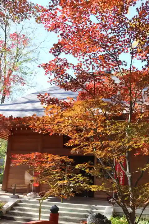 淨眞寺(東京都)