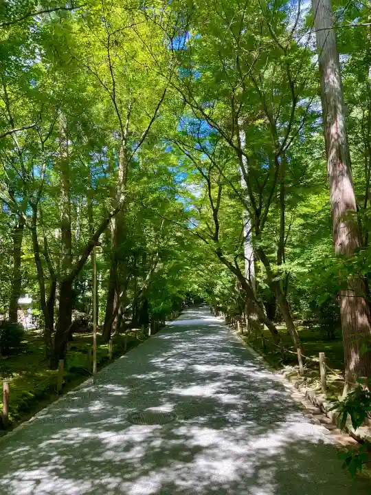 龍安寺の{uncategorized: "未分類", other: "その他", undefined: "問題あり", building: "その他建物", grave: "お墓", sacred_gate: "鳥居", guardian: "狛犬", statue: "像", buddha: "仏像", history: "歴史", nature: "自然", garden: "庭園", animal: "動物", pagoda: "塔", temizu: "手水舎", mountain_gate: "山門・神門", sanctuary: "本殿・本堂", subordinate: "末社・摂社", art: "芸術", scenery: "景色", jizo: "地蔵", ema: "絵馬", goshuin: "御朱印", omikuji: "おみくじ", items: "授与品その他", amulet: "お守り", goshuincho: "御朱印帳", eats: "食事", festival: "お祭り", votive_dance: "神楽", shichigosan: "七五三参", wedding: "結婚式", experience: "体験その他", initially: "初詣", around: "周辺", anti_infection: "感染症対策"}