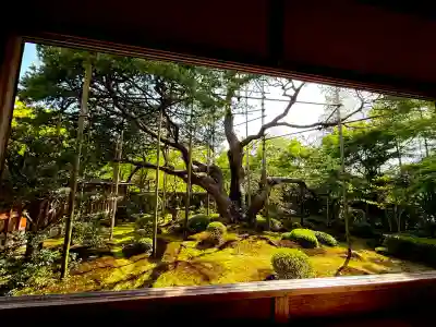 宝泉院(京都府)