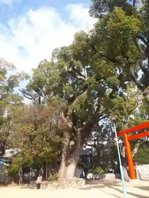 長田神社(兵庫県)