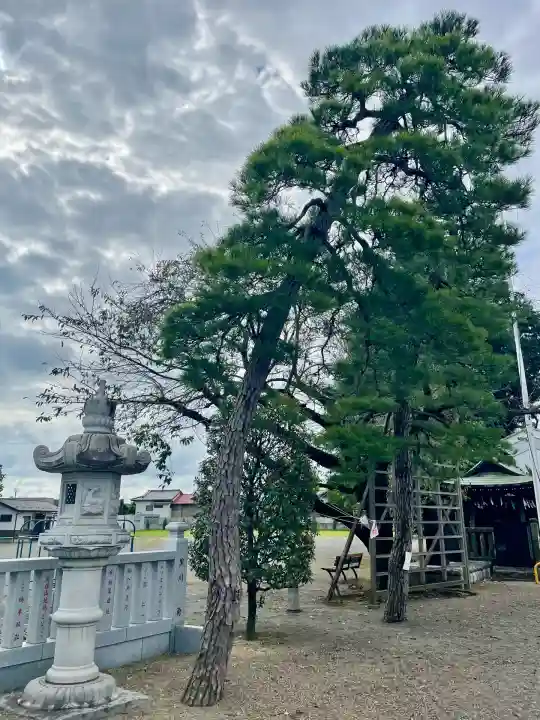 健田須賀神社(茨城県)