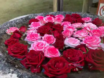 丹生都比売神社の手水舎