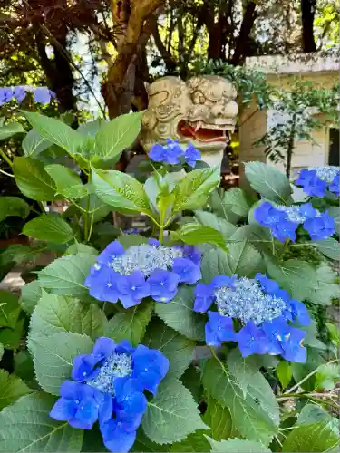 大宝八幡宮(茨城県)