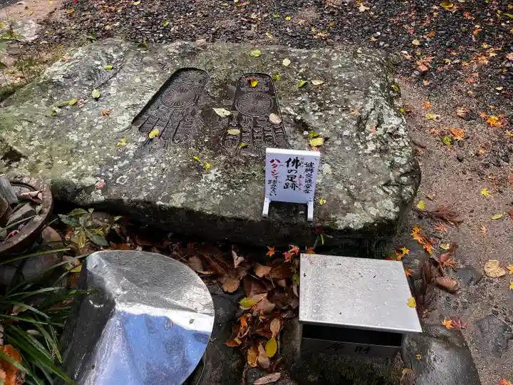 浄瑠璃寺(愛媛県)