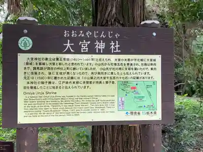 大宮神社(栃木県)