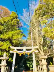 日先神社の鳥居