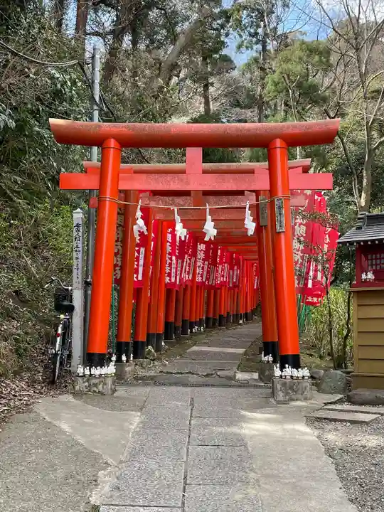 佐助稲荷神社の鳥居