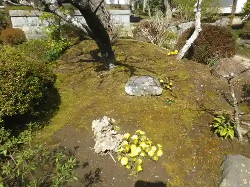 海蔵寺の庭園