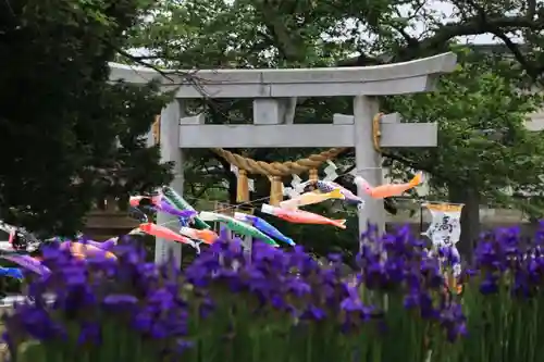 高司神社〜むすびの神の鎮まる社〜の鳥居