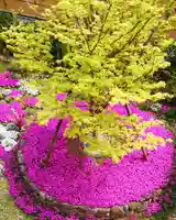 寿量山 速成寺の庭園