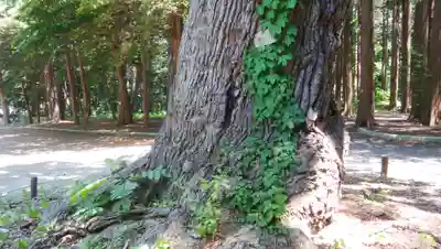 北海道神宮のその他建物