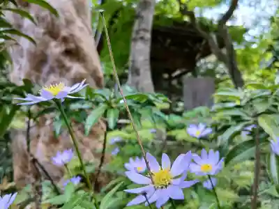 金乘院の{uncategorized: "未分類", other: "その他", undefined: "問題あり", building: "その他建物", grave: "お墓", sacred_gate: "鳥居", guardian: "狛犬", statue: "像", buddha: "仏像", history: "歴史", nature: "自然", garden: "庭園", animal: "動物", pagoda: "塔", temizu: "手水舎", mountain_gate: "山門・神門", sanctuary: "本殿・本堂", subordinate: "末社・摂社", art: "芸術", scenery: "景色", jizo: "地蔵", ema: "絵馬", goshuin: "御朱印", omikuji: "おみくじ", items: "授与品その他", amulet: "お守り", goshuincho: "御朱印帳", eats: "食事", festival: "お祭り", votive_dance: "神楽", shichigosan: "七五三参", wedding: "結婚式", experience: "体験その他", initially: "初詣", around: "周辺", anti_infection: "感染症対策"}