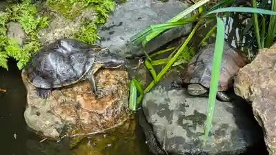宝蔵寺(京都府)