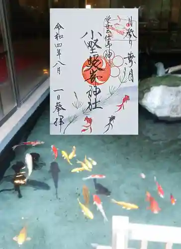 小野照崎神社の御朱印