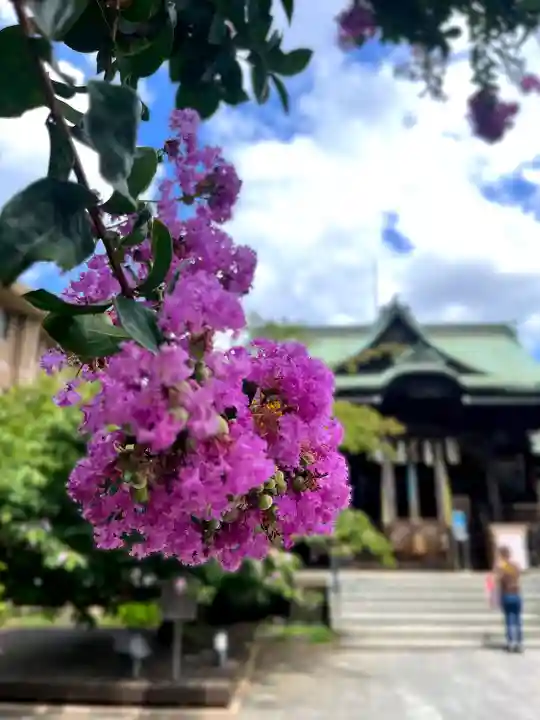 桜神宮(東京都)