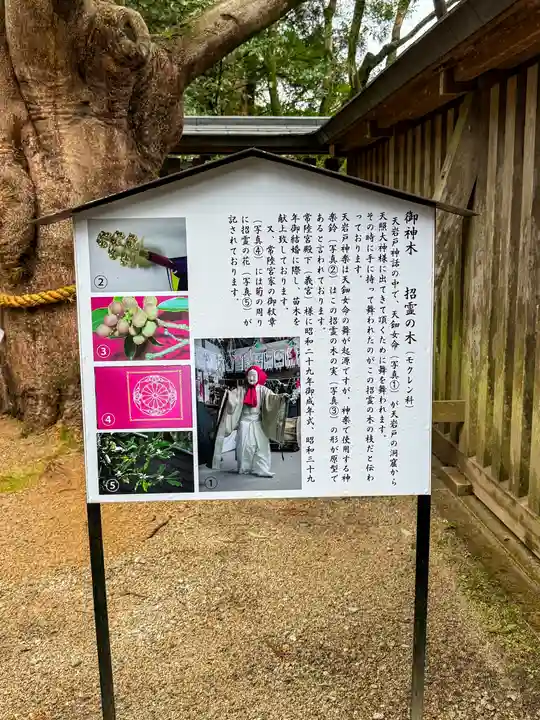 天岩戸神社(宮崎県)