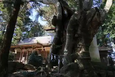 黒沼神社(福島県)