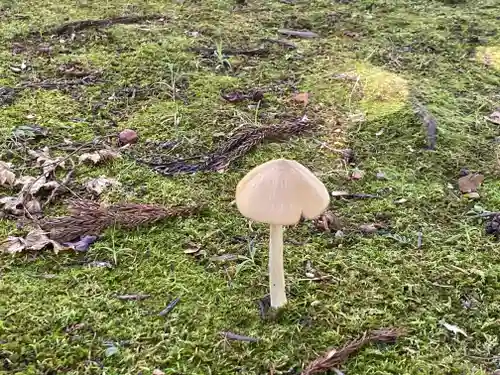 光明寺(京都府)