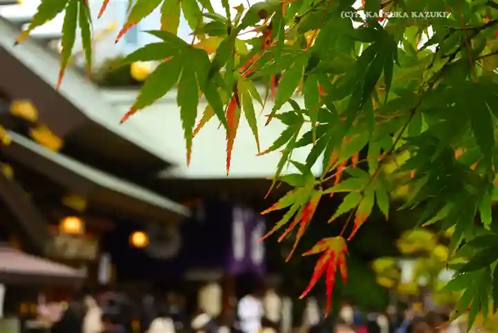 東京大神宮(東京都)