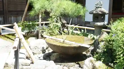 圓光寺(京都府)