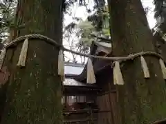 高千穂神社(宮崎県)