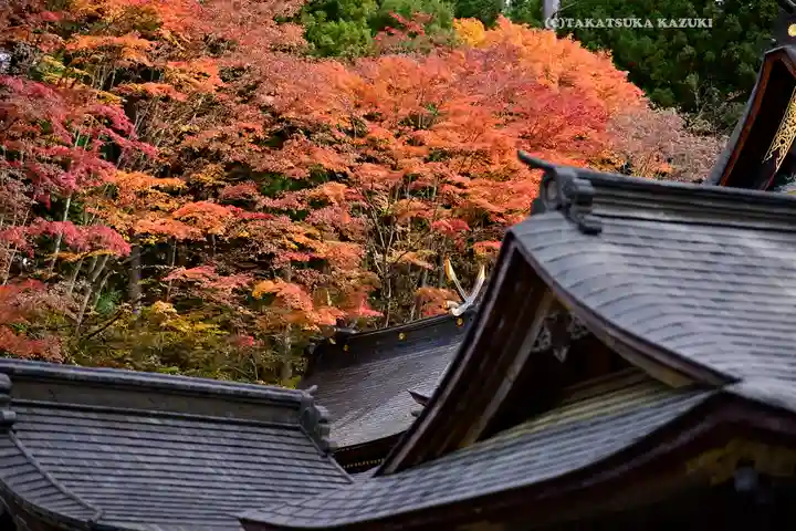 三峯神社(埼玉県)