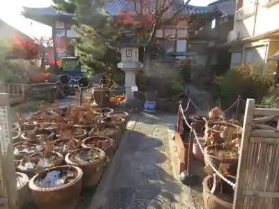 大蓮寺のその他建物