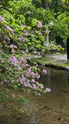 賀茂別雷神社（上賀茂神社）(京都府)