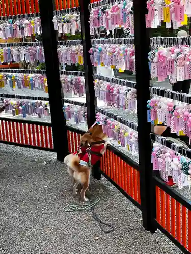 田無神社(東京都)