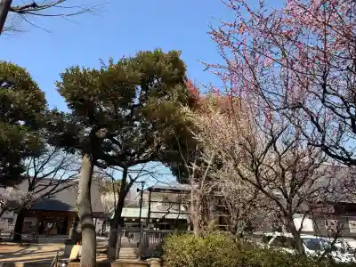 新井天神北野神社の{uncategorized: "未分類", other: "その他", undefined: "問題あり", building: "その他建物", grave: "お墓", sacred_gate: "鳥居", guardian: "狛犬", statue: "像", buddha: "仏像", history: "歴史", nature: "自然", garden: "庭園", animal: "動物", pagoda: "塔", temizu: "手水舎", mountain_gate: "山門・神門", sanctuary: "本殿・本堂", subordinate: "末社・摂社", art: "芸術", scenery: "景色", jizo: "地蔵", ema: "絵馬", goshuin: "御朱印", omikuji: "おみくじ", items: "授与品その他", amulet: "お守り", goshuincho: "御朱印帳", eats: "食事", festival: "お祭り", votive_dance: "神楽", shichigosan: "七五三参", wedding: "結婚式", experience: "体験その他", initially: "初詣", around: "周辺", anti_infection: "感染症対策"}