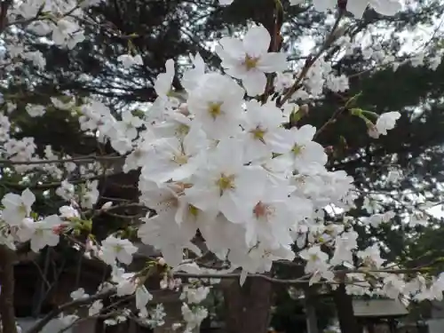 鳥飼八幡宮(福岡県)